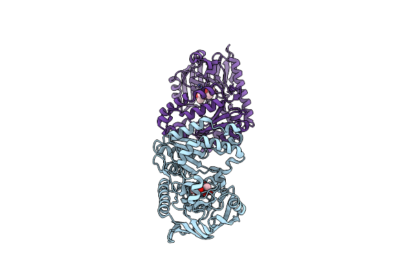 4ICR image
