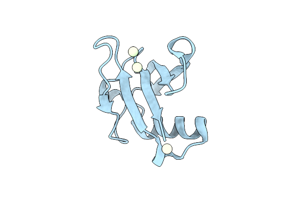 4ICV image