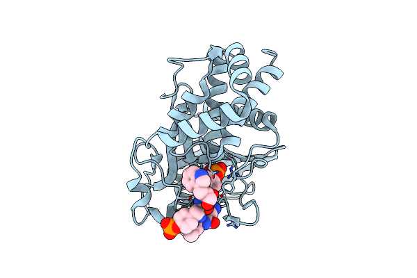 4ICZ image
