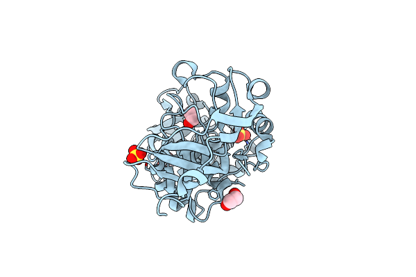 4IDA image