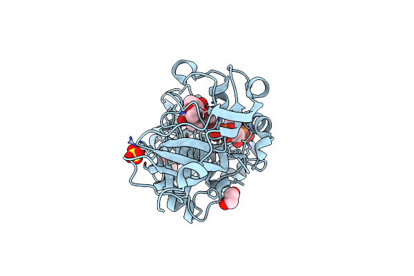 4IDC image