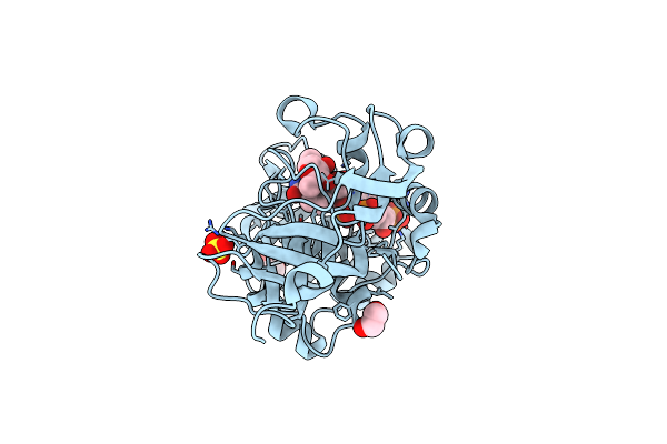 4IDD image