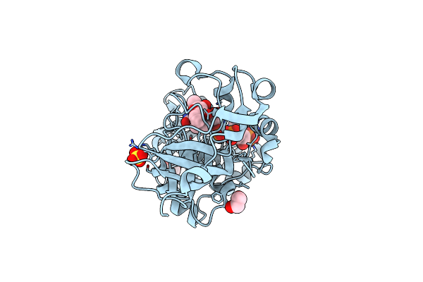 4IDE image