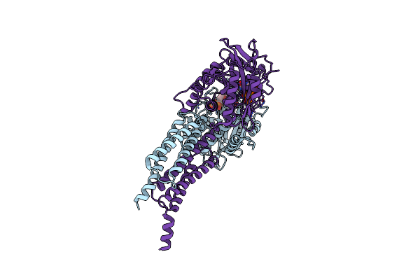 4IDN image