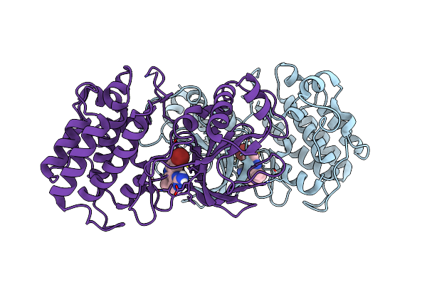 4IDT image