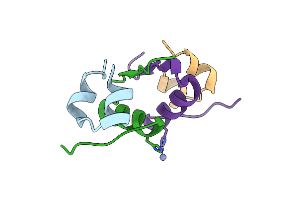 4IDW image