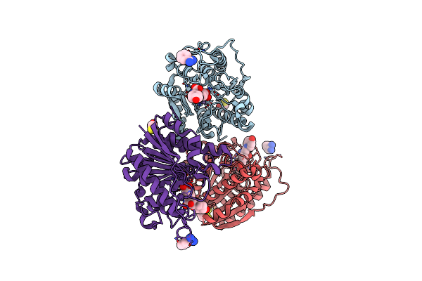 4IE3 image