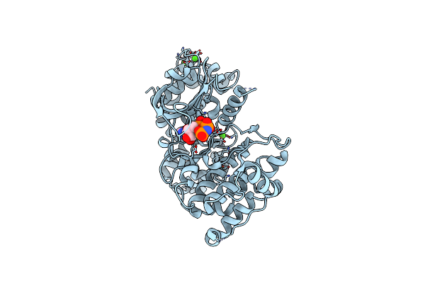 4IEB image