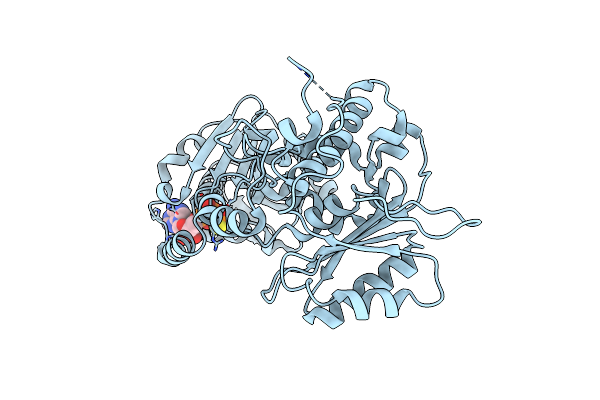 4IEE image