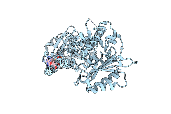 4IEI image