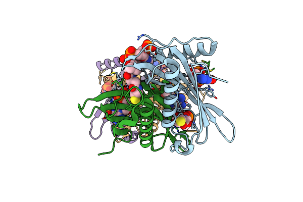 4IEN image