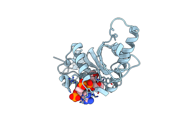 4IF5 image