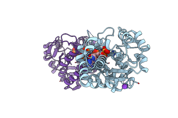 4IFB image