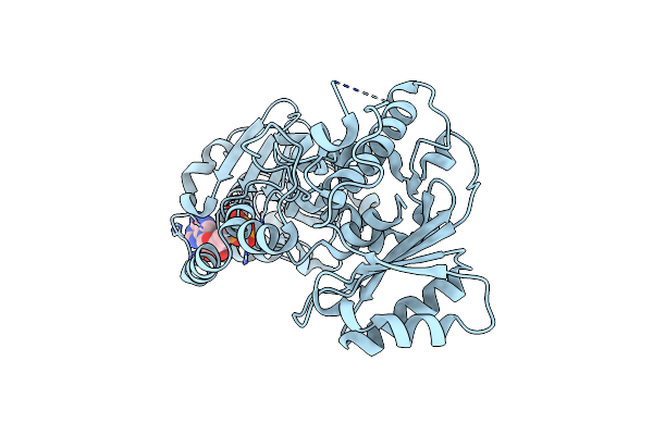 4IFE image
