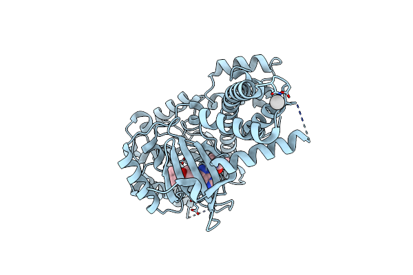 4IFG image