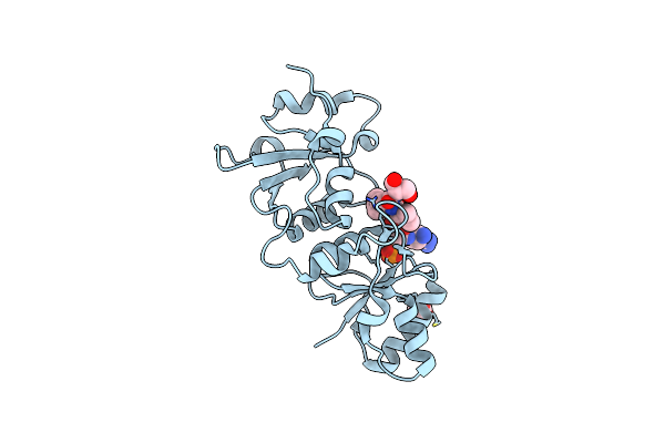 4IFI image