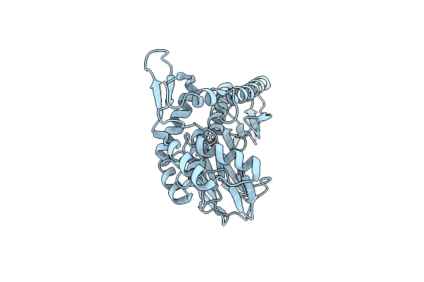 4IFU image