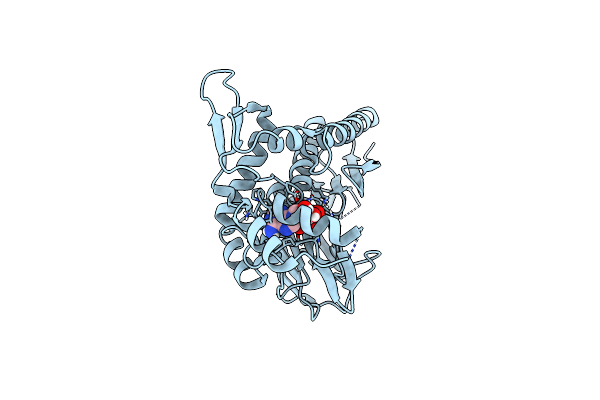 4IFW image