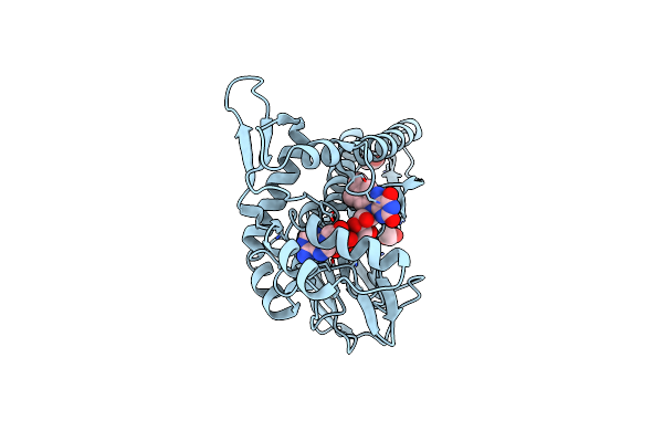 4IFX image