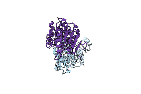 4IG4 image