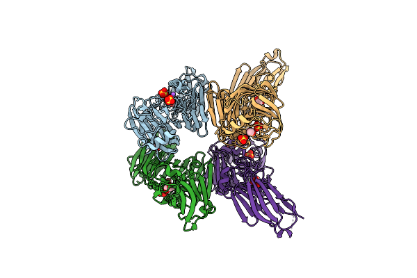 4IGB image