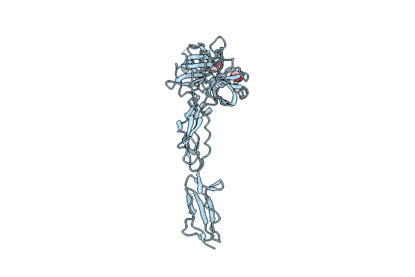 4IGD image