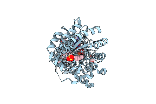 4IGH image