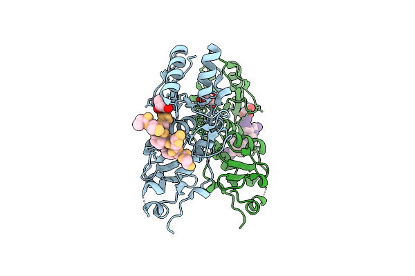 4IGK image