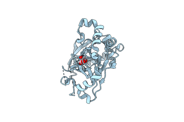4IGO image