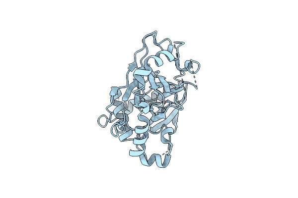 4IGP image