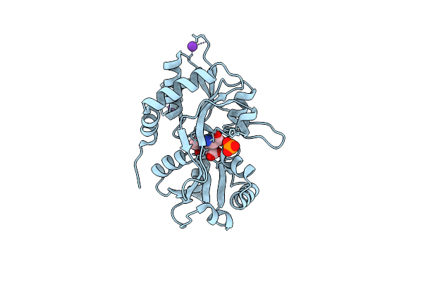4IGR image
