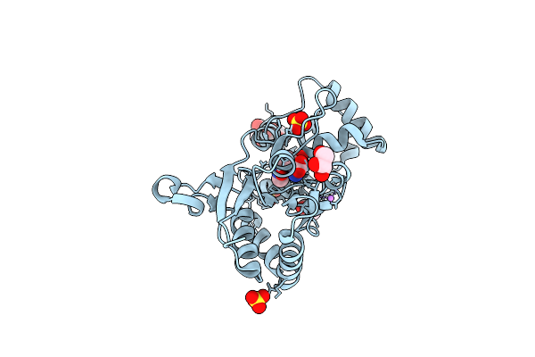 4IGT image