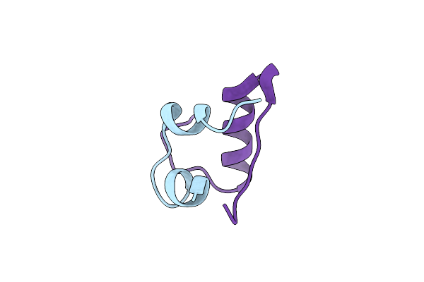4IHN image