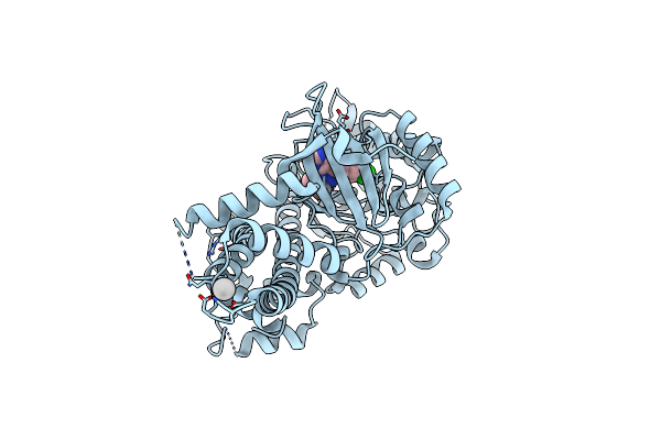 4IHP image