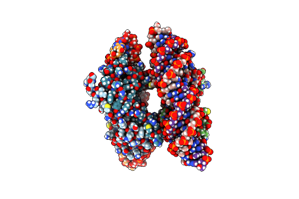 4IHT image