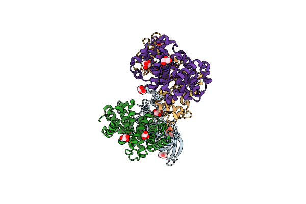 4II5 image