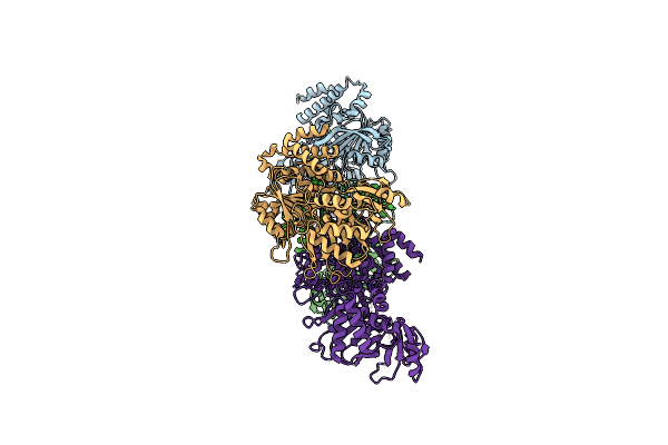 4II7 image