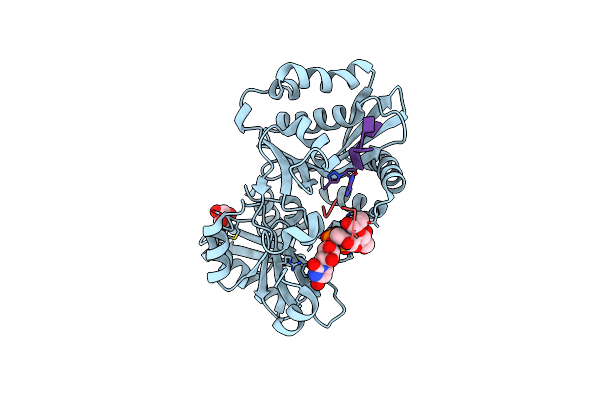 4II9 image