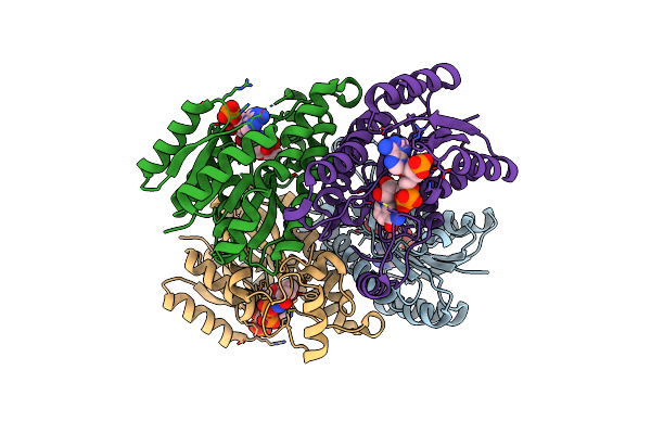 4IIV image