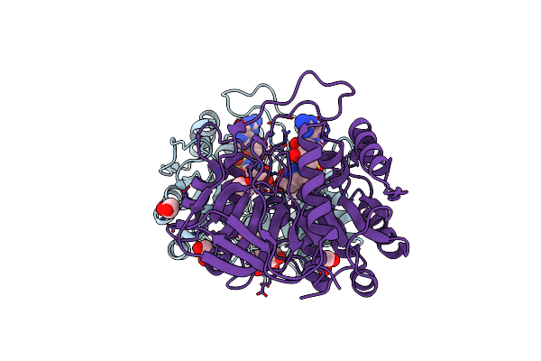 4IIX image