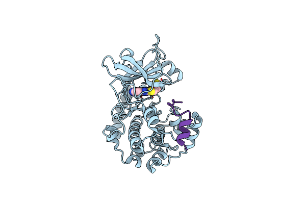 4IJ9 image
