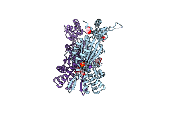 4IJA image