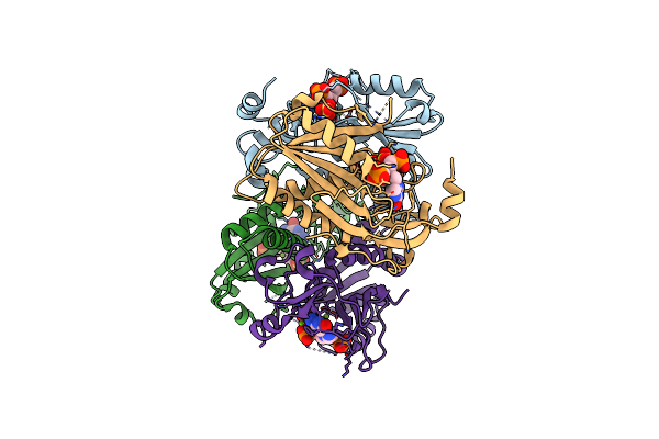 4IJQ image