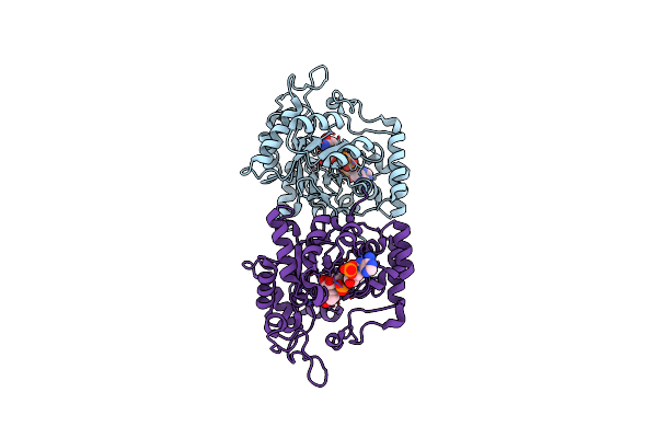4IJR image