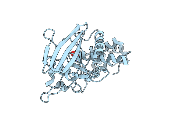 4IKC image