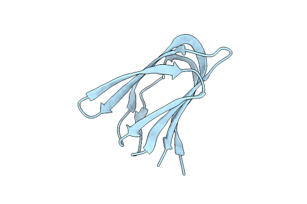4IL7 image