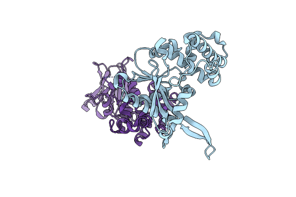 4ILH image