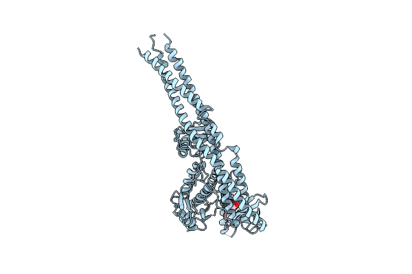 4IM2 image