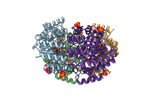 4IMC image