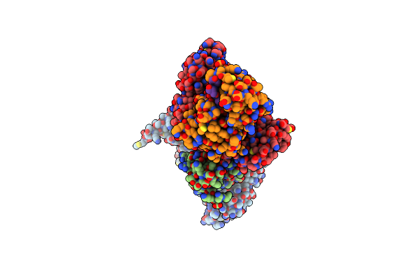 4IMJ image